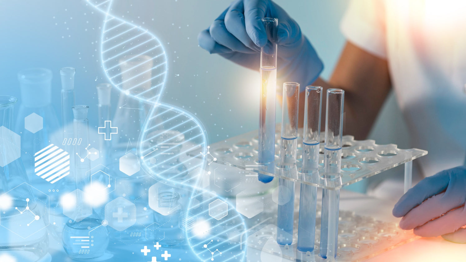 NMN, TMG, and Resveratrol complex benefits