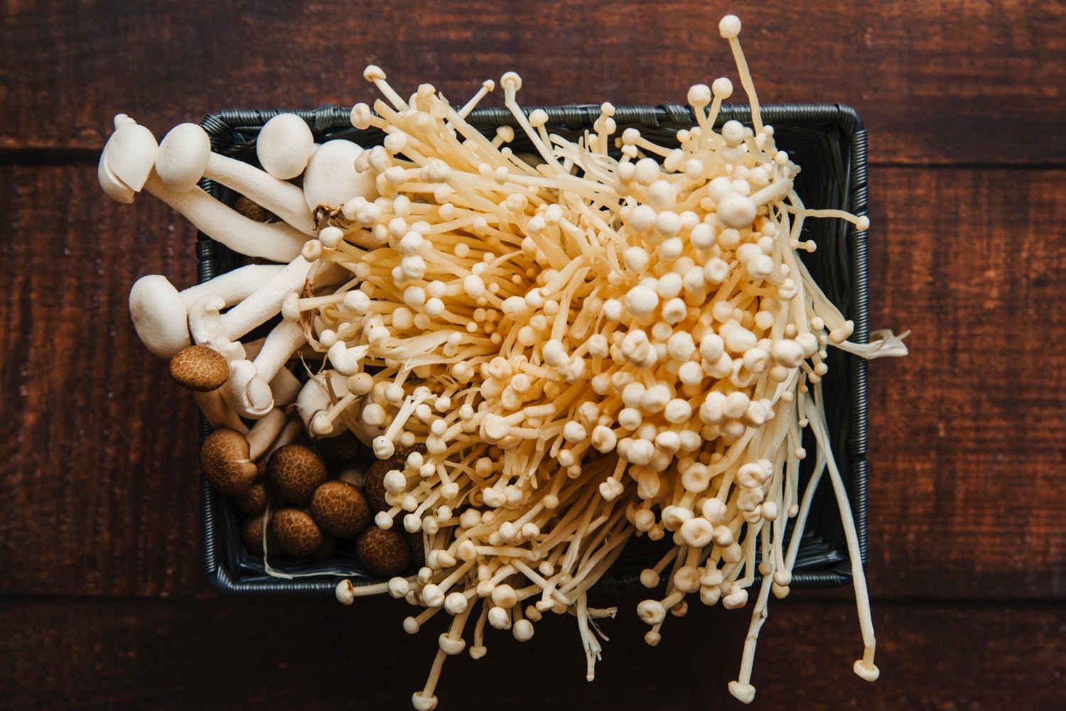 Mushroom Gummies: A Delicious and Nutritious Treat - KekaNaturals