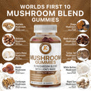 Mushroom Gummies 2500mg 10 mushroom blend with lions mane description of all 10 mushrooms