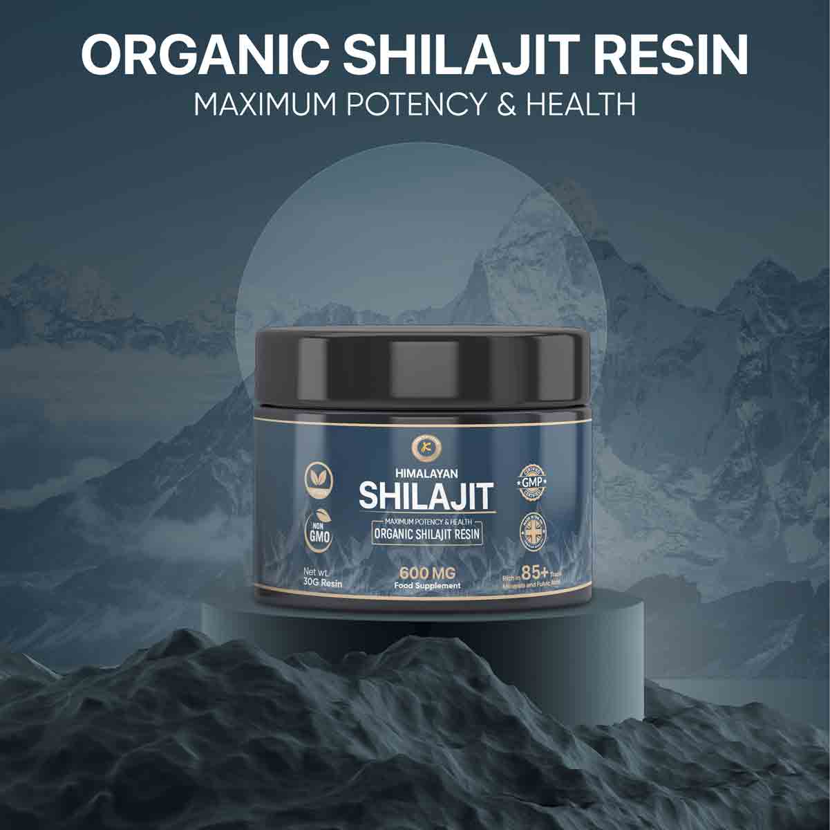 Shilajit Resin 30g