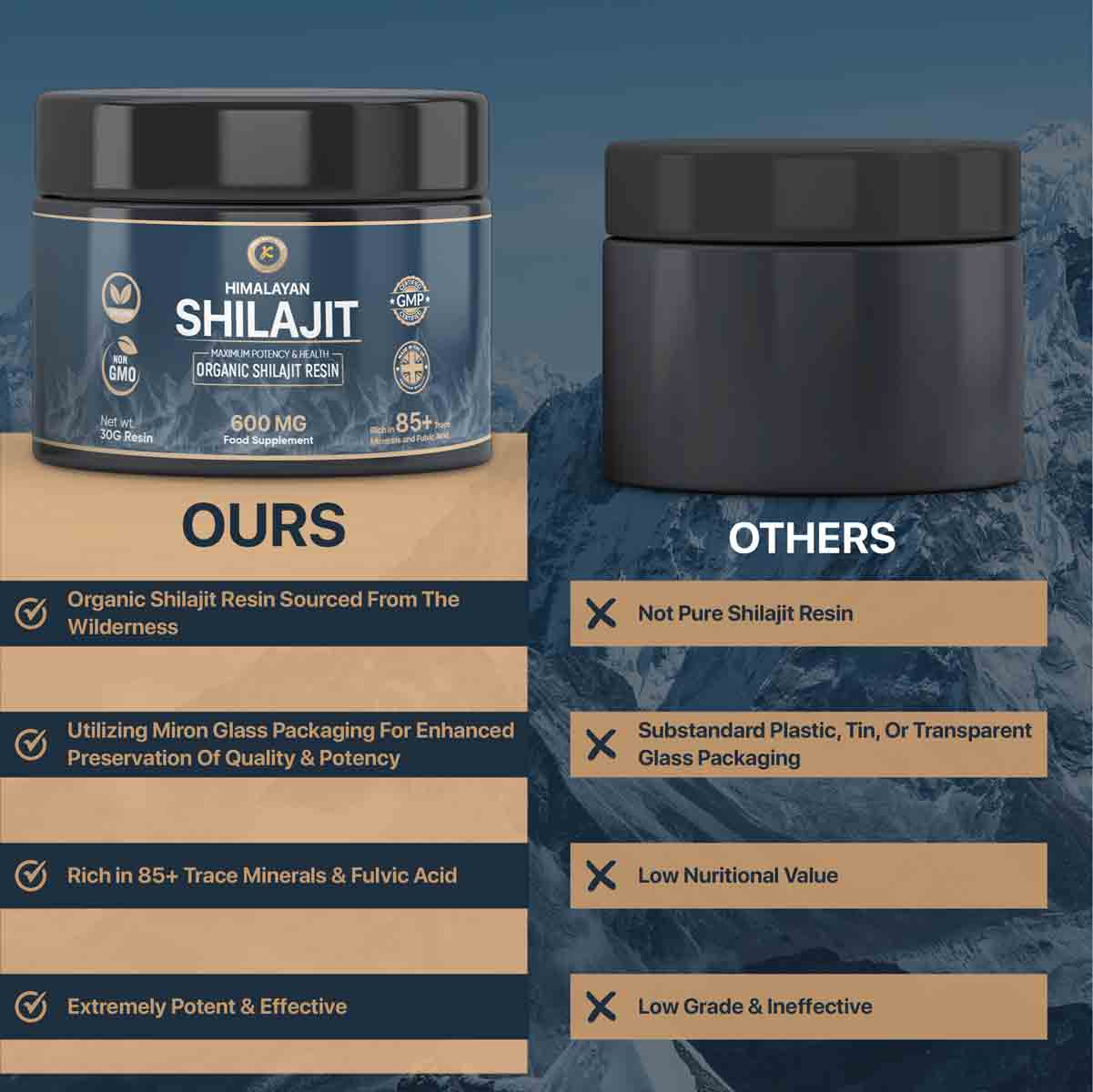 Shilajit Resin 30g
